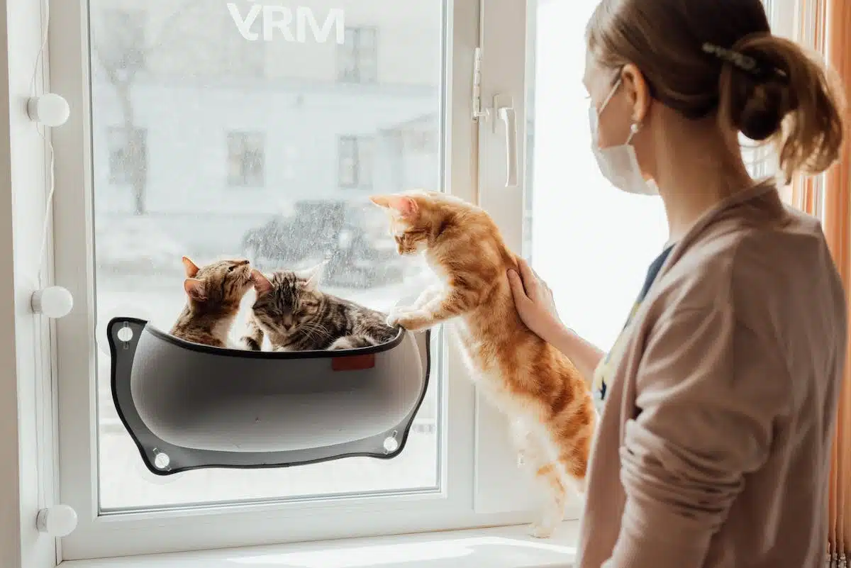 chat  relaxation