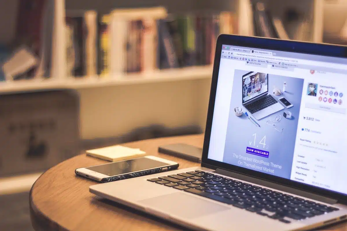 wordpress  professionnel