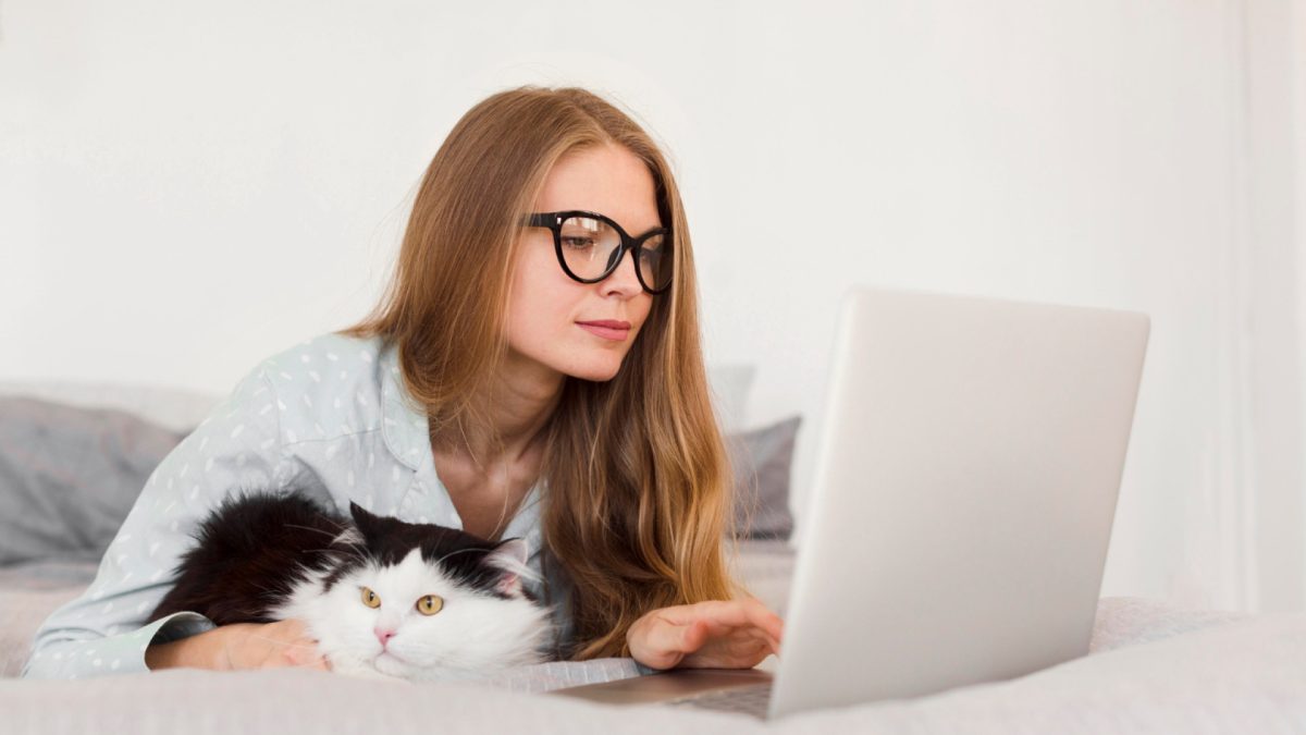 Guide complet pour assurer votre chat en quelques étapes simples